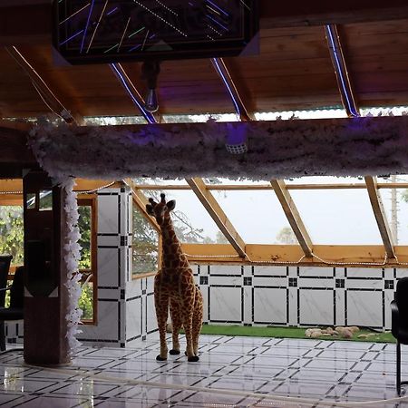 Hotel Al Azeem Ajubia Kültér fotó